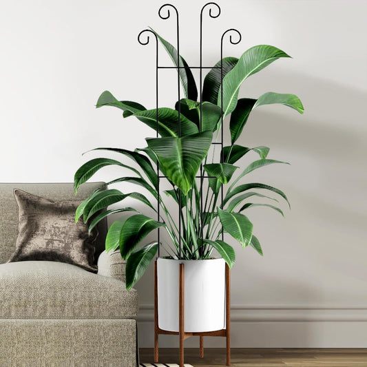 4 Plant Trellis for Indoor Climbing Plants - Green Fan Trellis Metal Metal Flower Stand Garden Trellis | Heavy Duty Vertical Plant Support for Vegetables